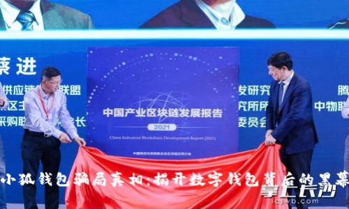 小狐钱包骗局真相：揭开数字钱包背后的黑幕