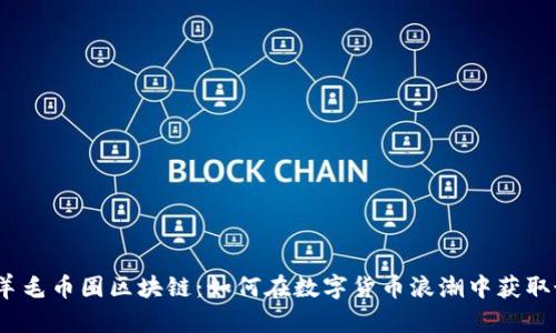 2021年羊毛币圈区块链：如何在数字货币浪潮中获取最大收益