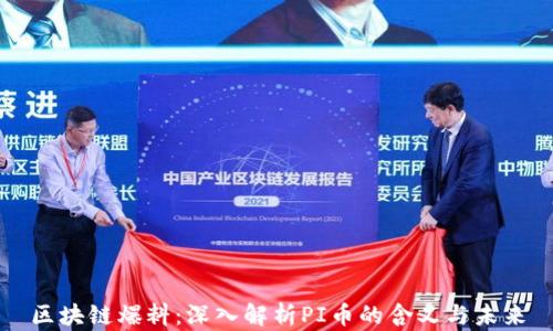 
区块链爆料：深入解析PI币的含义与未来