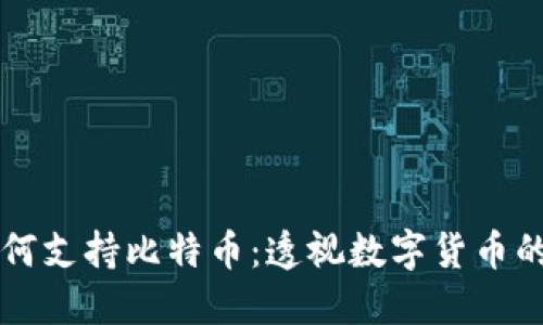 区块链如何支持比特币：透视数字货币的背后技术