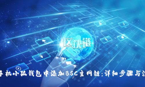 如何在手机小狐钱包中添加BSC主网链：详细步骤与注意事项