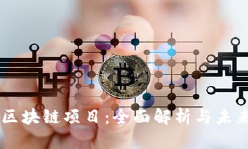 币圈区块链项目：全面解析与未来展望
