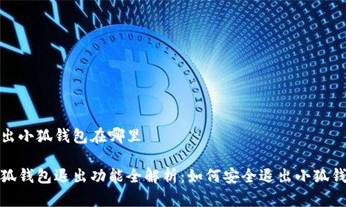 退出小狐钱包在哪里

小狐钱包退出功能全解析：如何安全退出小狐钱包