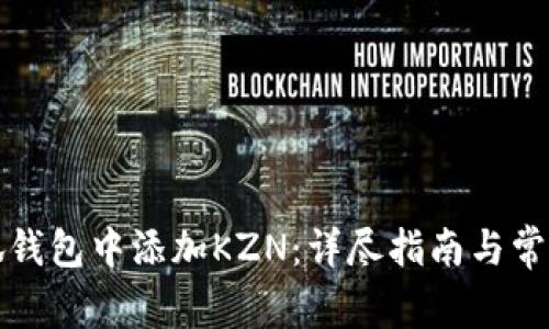 如何在小狐钱包中添加KZN：详尽指南与常见问题解答